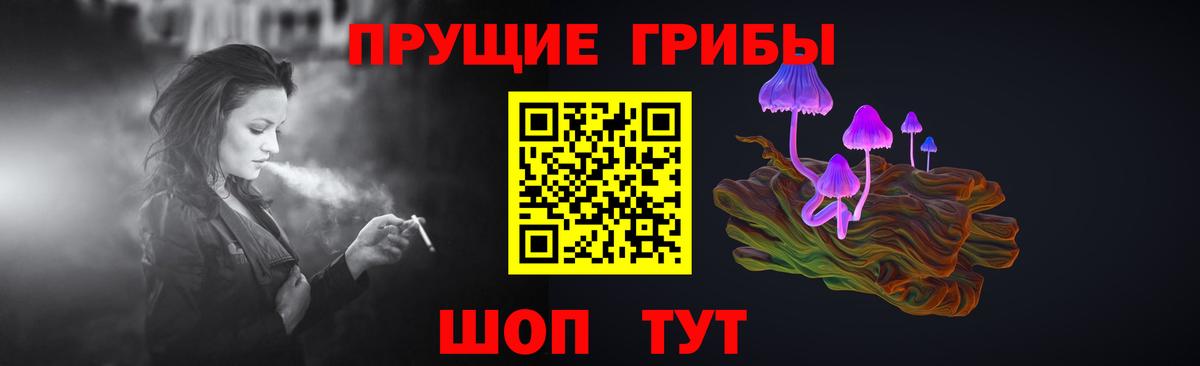 Галлюциногенные грибы прущие грибы Всеволожск